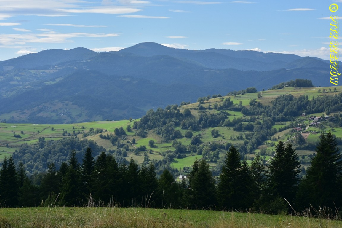 Pasmo Jaworzyny Krynickiej - Runek 1080 m