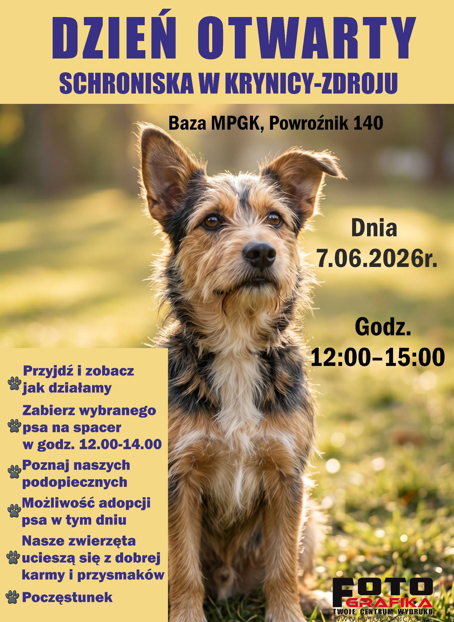 Dzień Otwarty  Schroniska dla Psów w Krynicy-Zdroju 