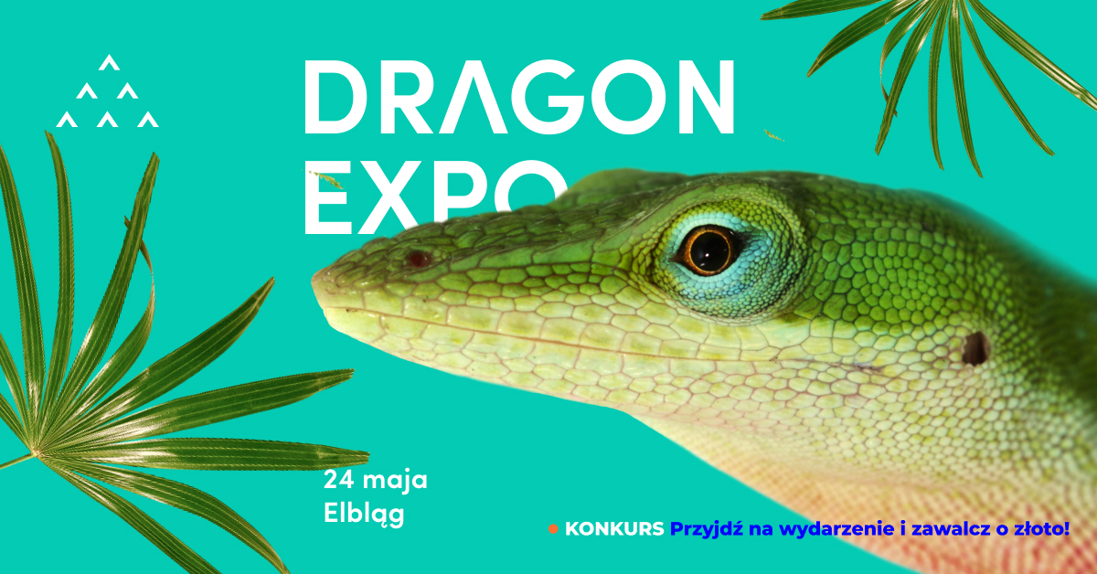 Event Terrarystyczny i Botaniczny Dragon Expo / Elbląg