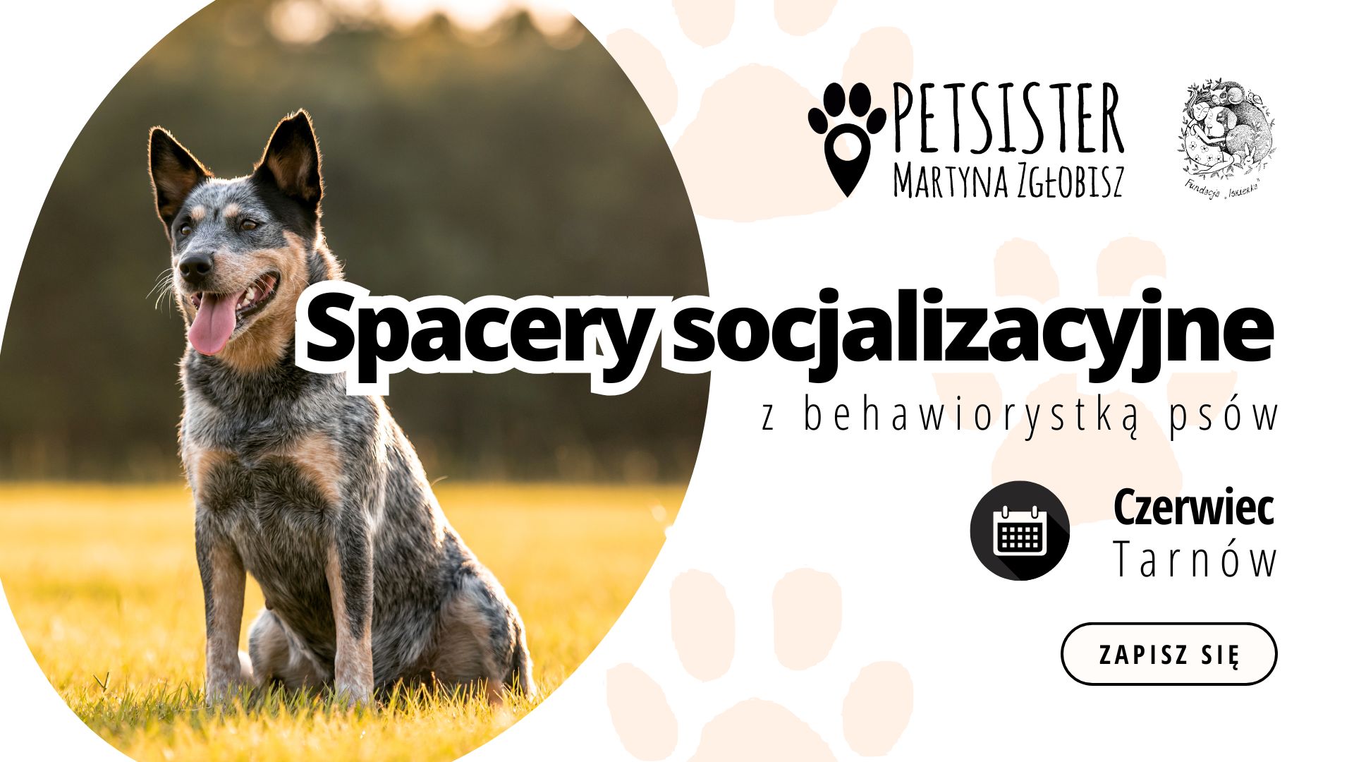 Spacery socjalizacyjne | Tarnów - czerwiec 2026