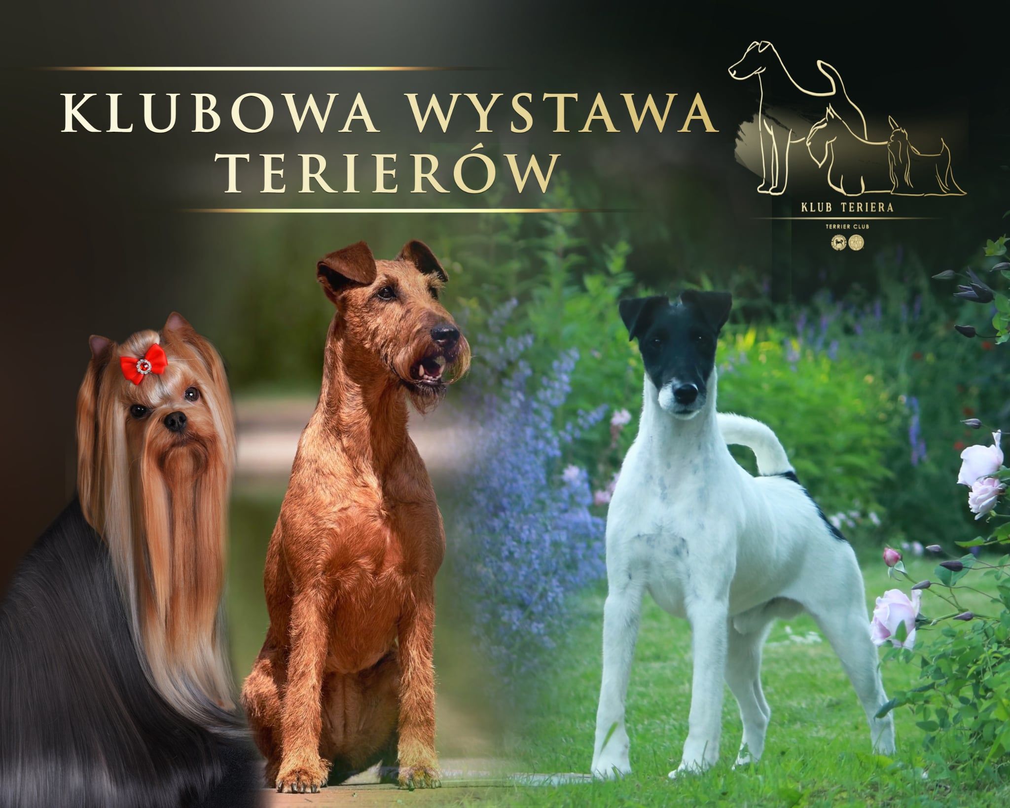 Klubowa Wystawa Terrierów Mortegi 2026
