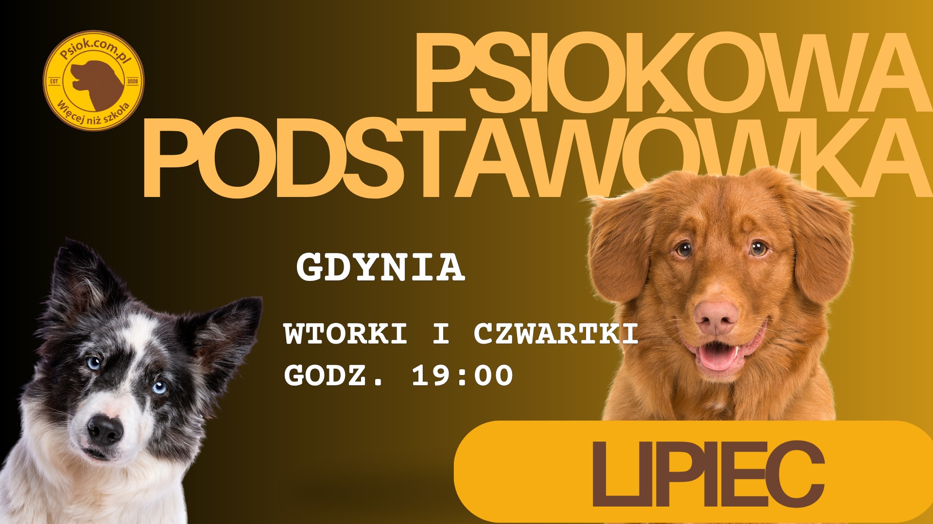 Psia podstawówka - Gdynia