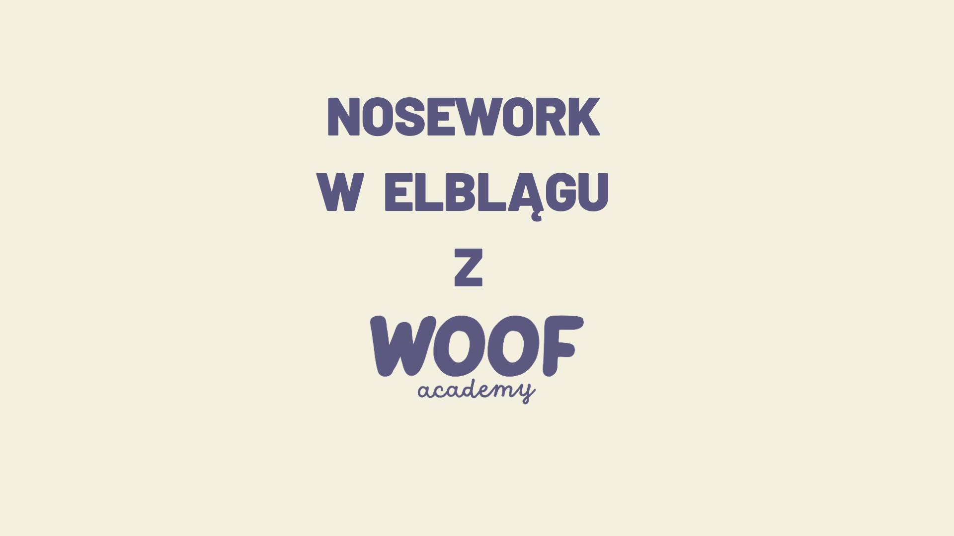 Nosework w Elblągu 