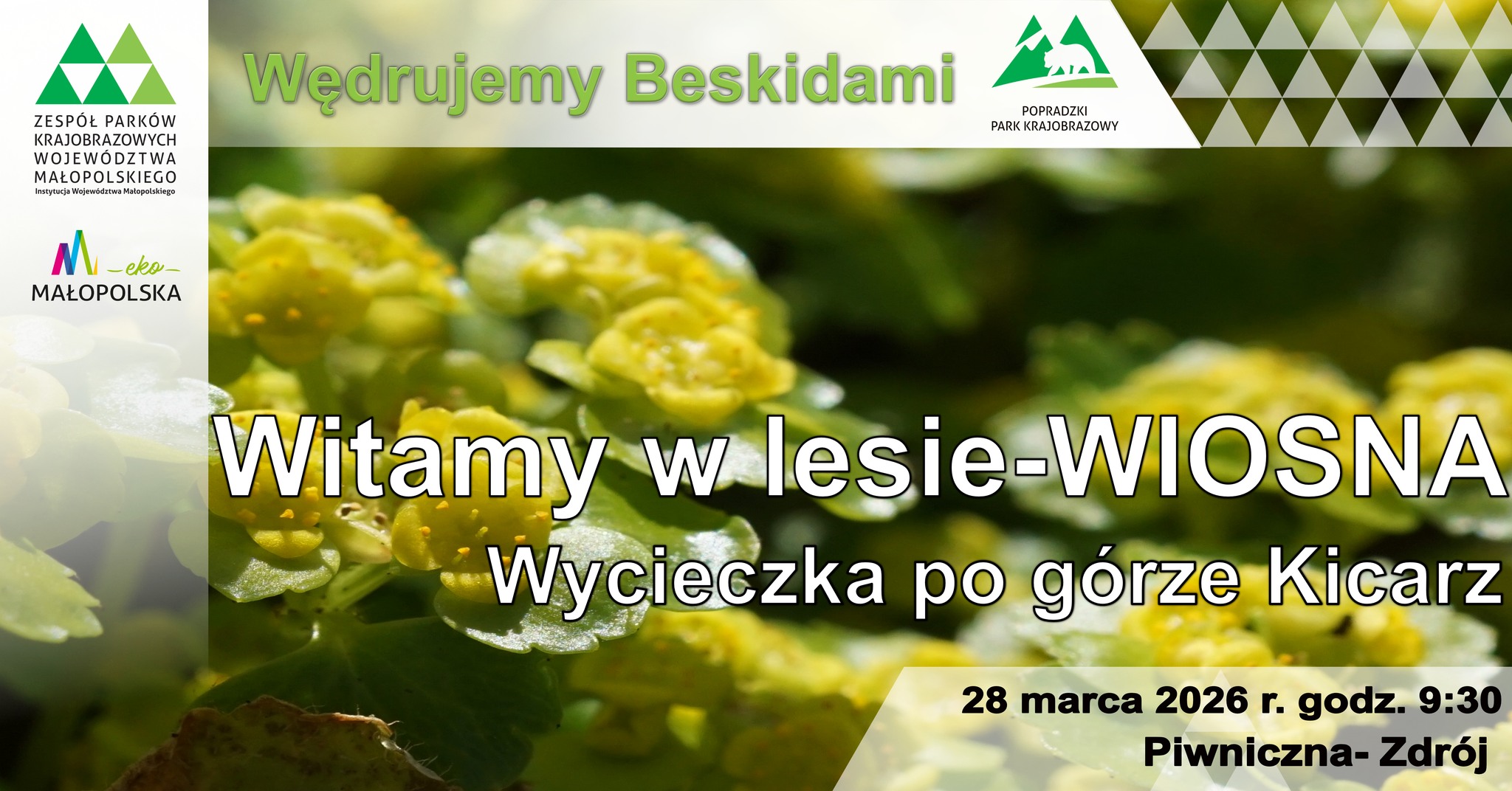 Wycieczka piesza po górze Kicarz w Piwnicznej- Zdroju