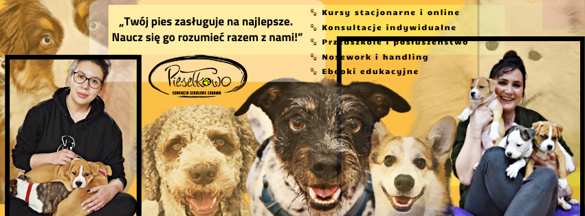HANDLING GRUPOWY DLA WSZYSTKICH RAS - Sosnowiec 