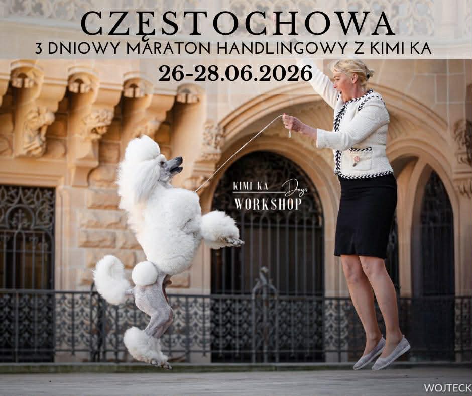 3 dniowy MARATON HANDLINGOWY z Kimi Ka | 26-28.06 | Częstochowa 