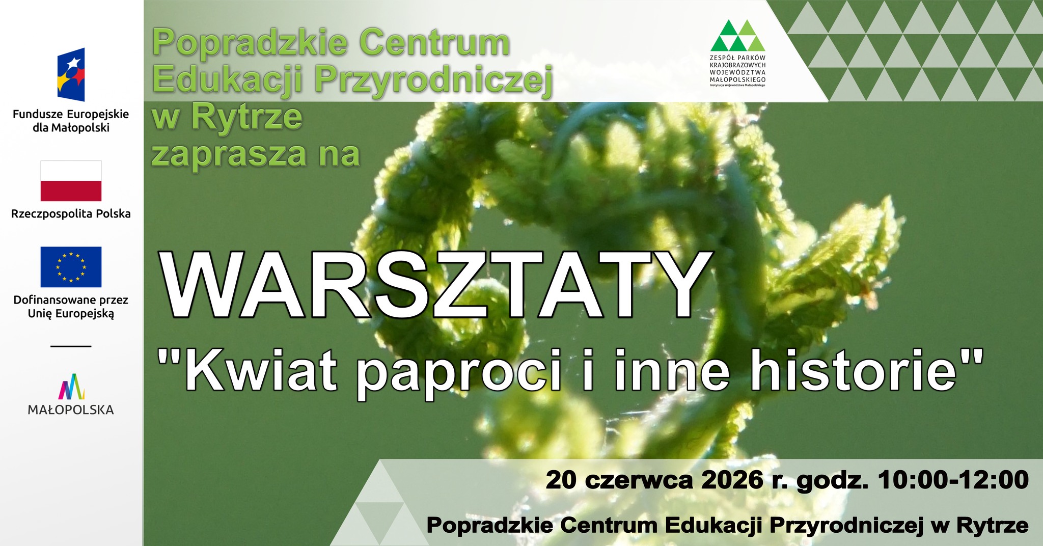 Warsztaty pn "Kwiat paproci i inne historie"