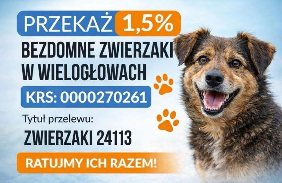 Nasze schronisko 😍
