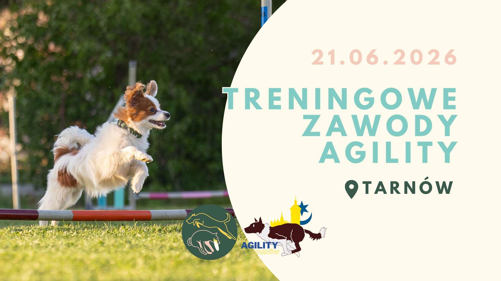 Treningowe Zawody Agility 21.06.2026 Tarnów