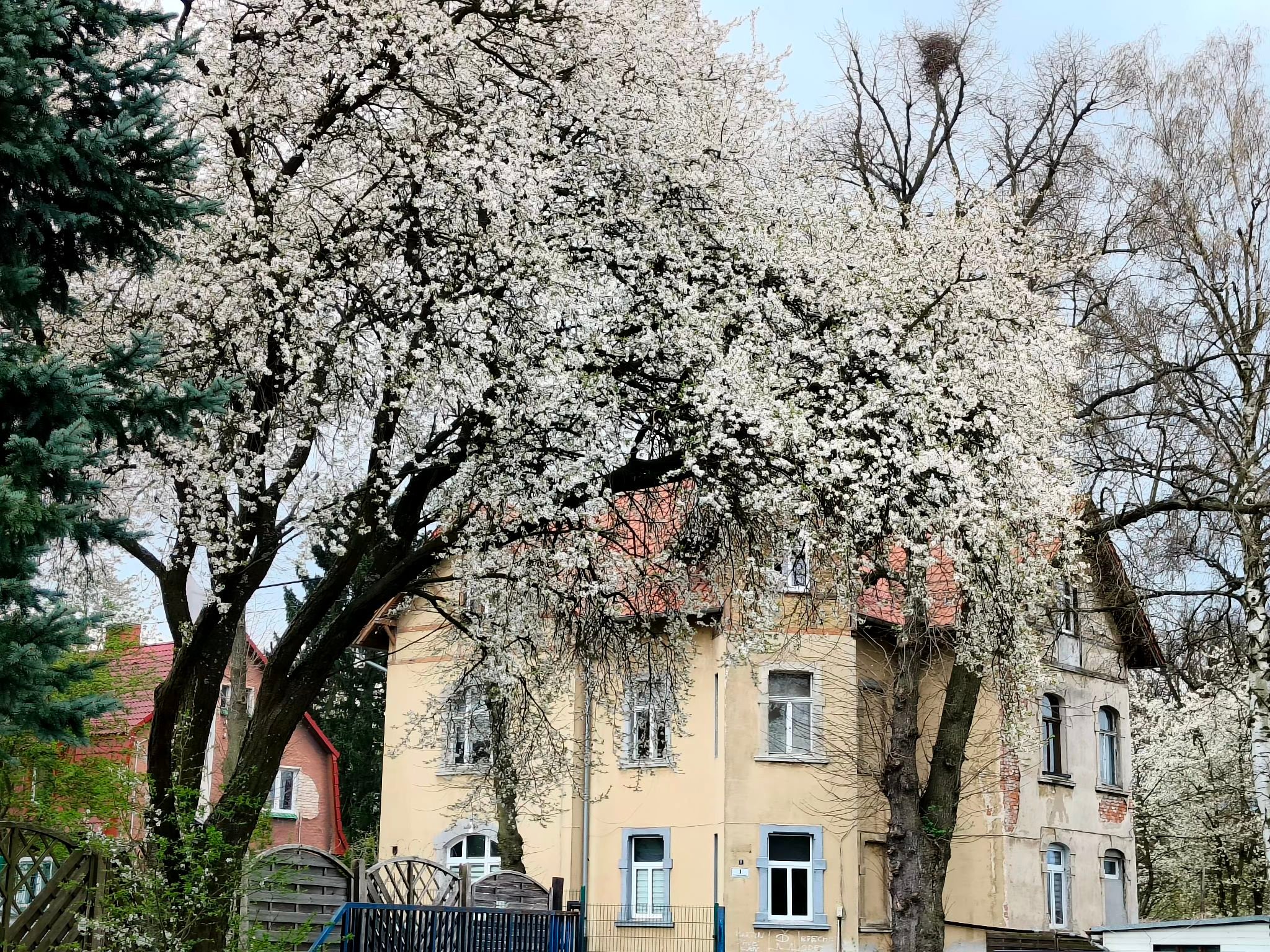 Wcześniejsze wakacje z 20% rabatem