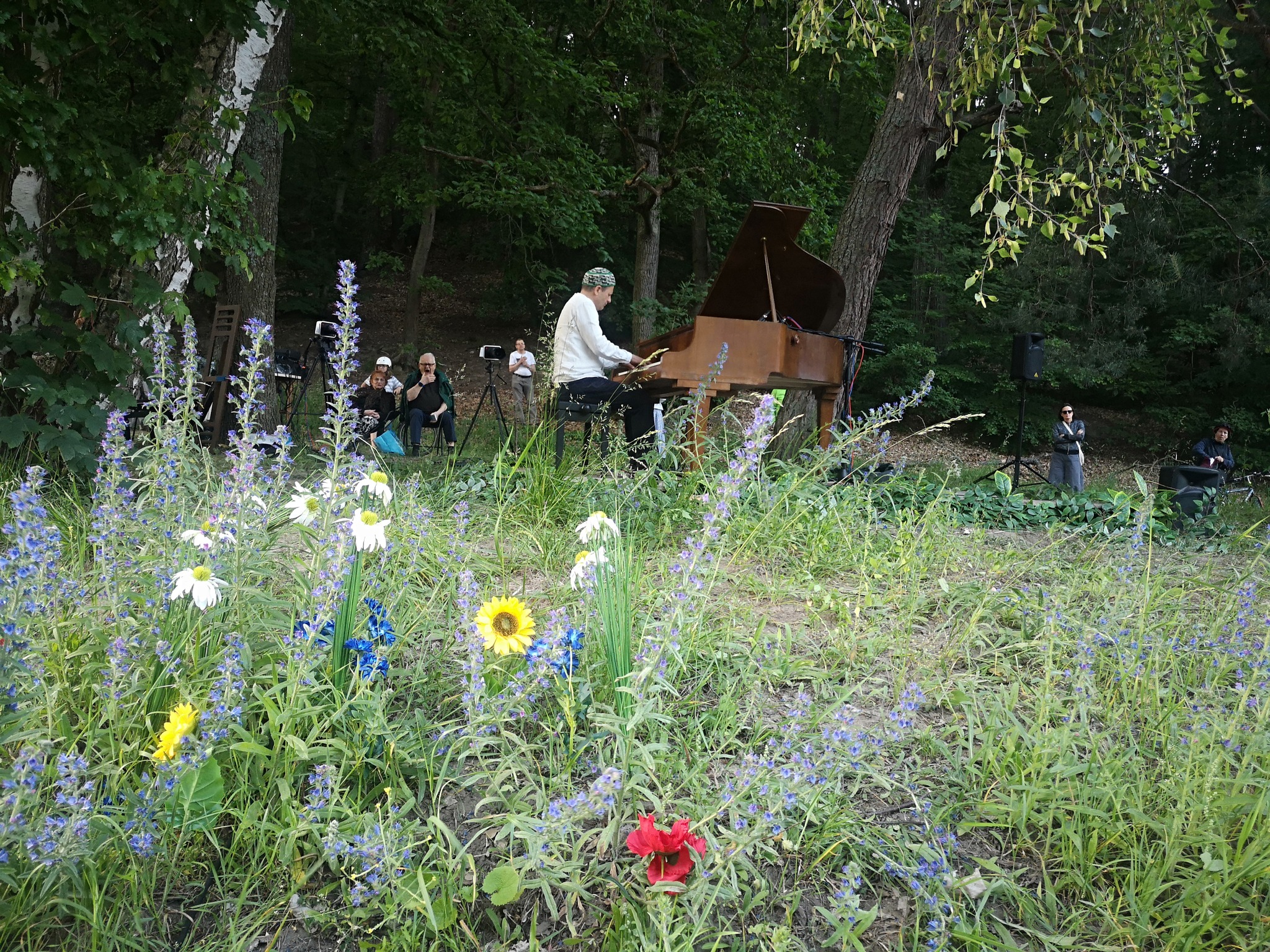 FESTIWAL PIANO W NATURZE SOPOT