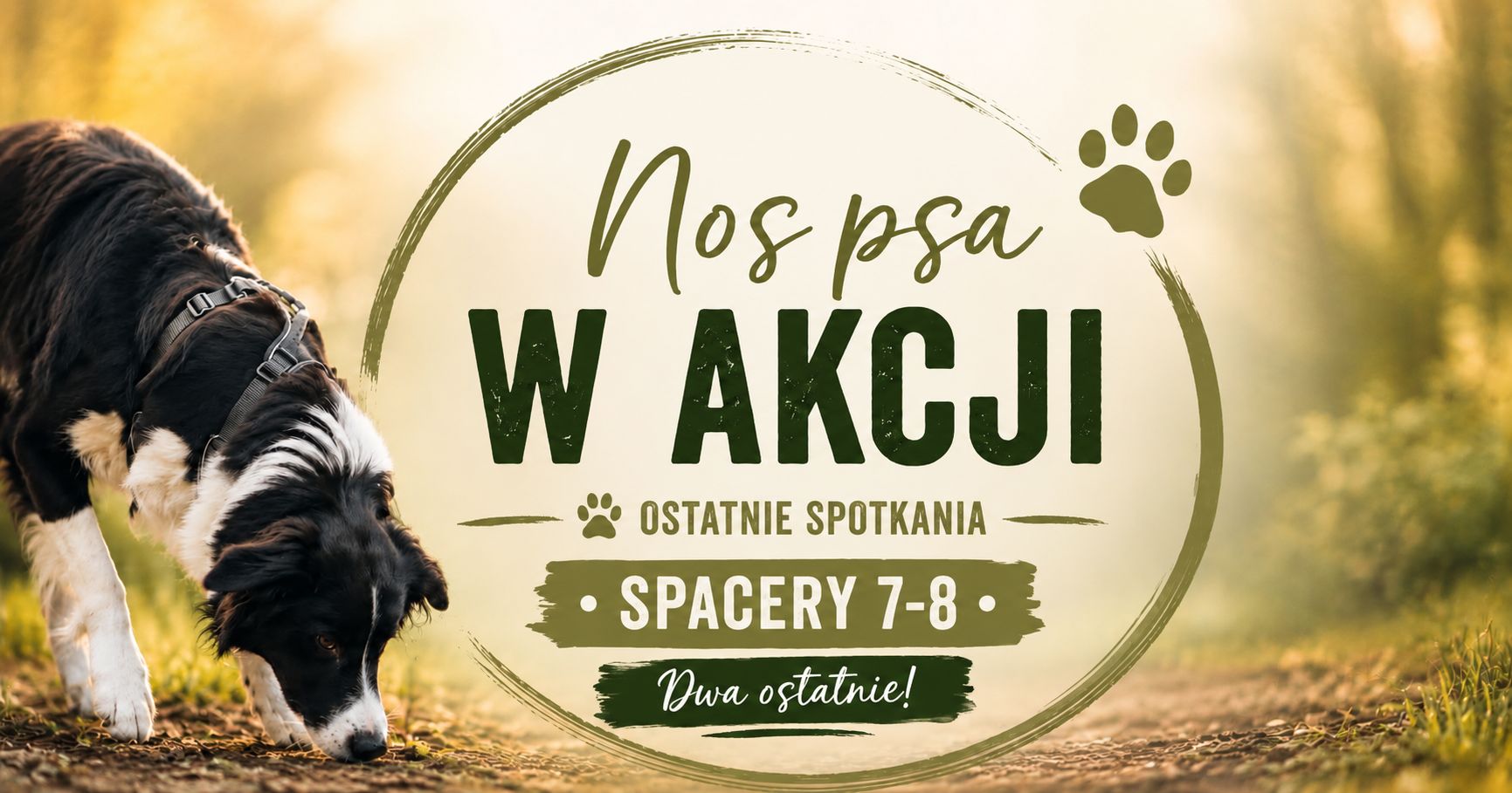 Nos w dół, emocje w dół – cykl spacerów węchowych